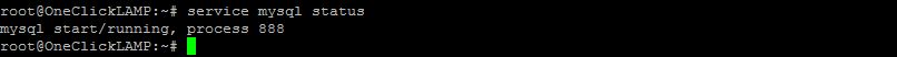 MySQL status