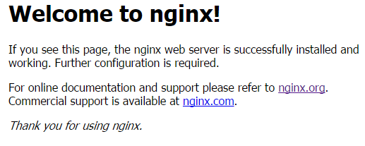 This example is the default nginx web page on Ubuntu 20.04