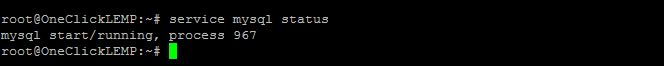MySQL status