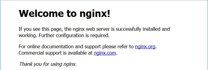 Nginx verification page online