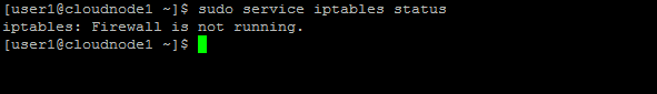 Iptables status output