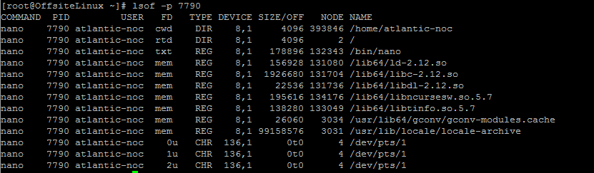 lsof-anet-10