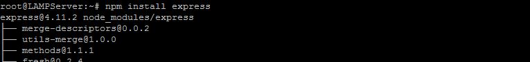 Install npm