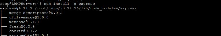 Install npm