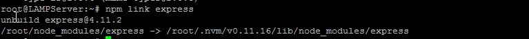 npm Link Express