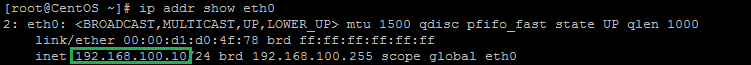 An example of ip addr showing eth0 and getting 192.168.100.10 for the IP address.