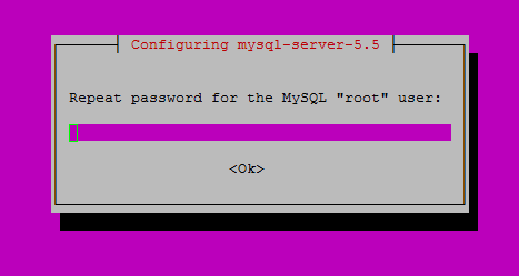 Re-enter the password you set before