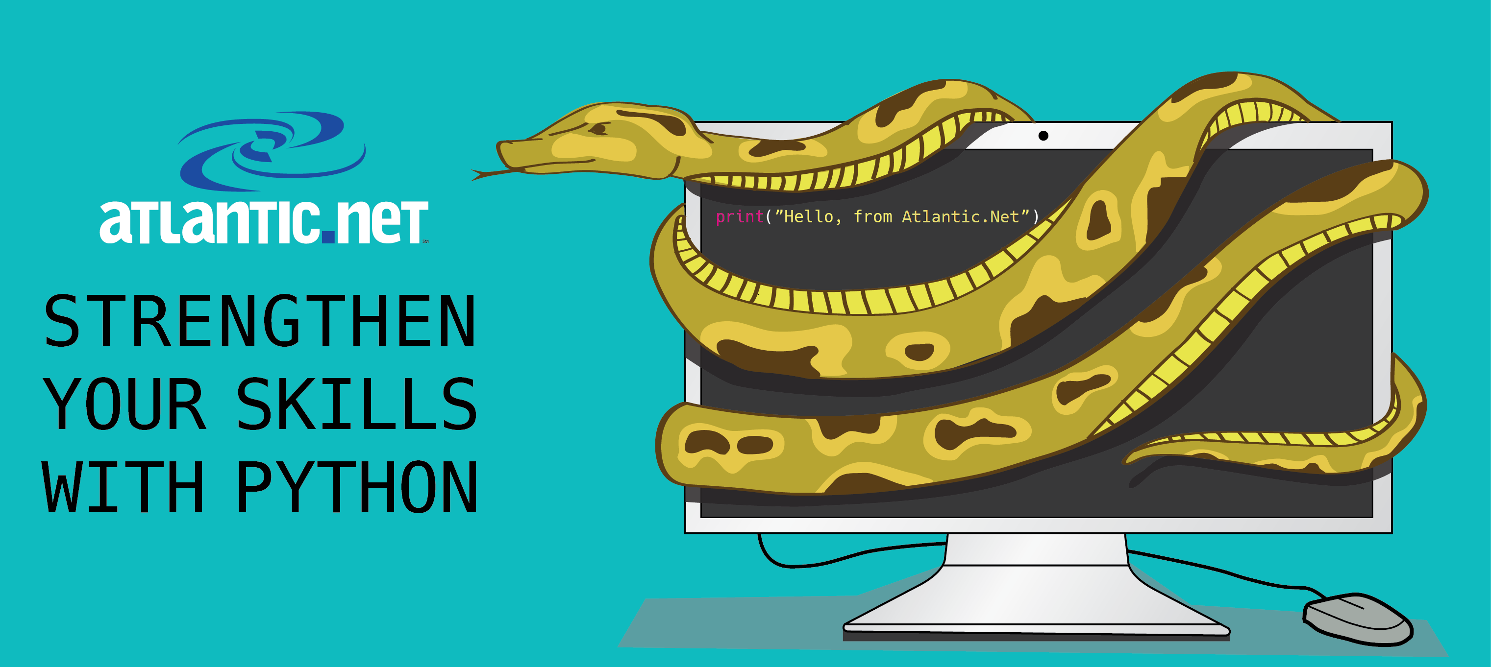 Python Illustration by Walker Cahall
