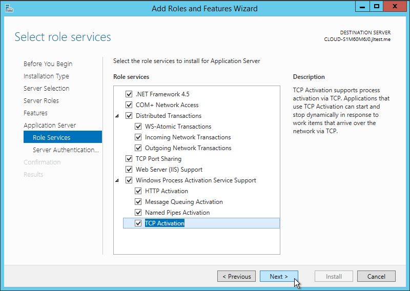 Under Role Services of Application server select any optional components you may need.