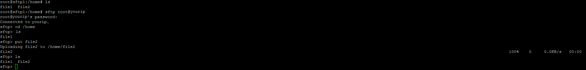 An Example of using the "put" SFTP command.