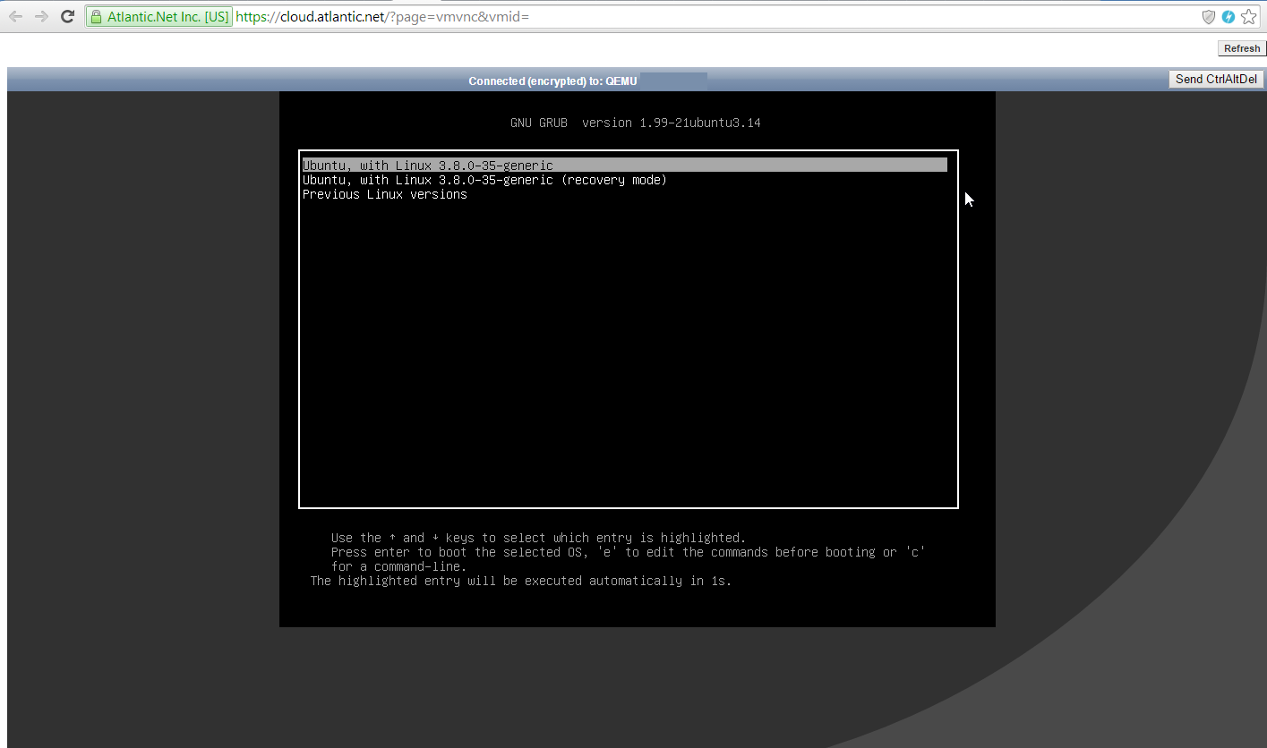 Interrupt the boot by pressing any key.