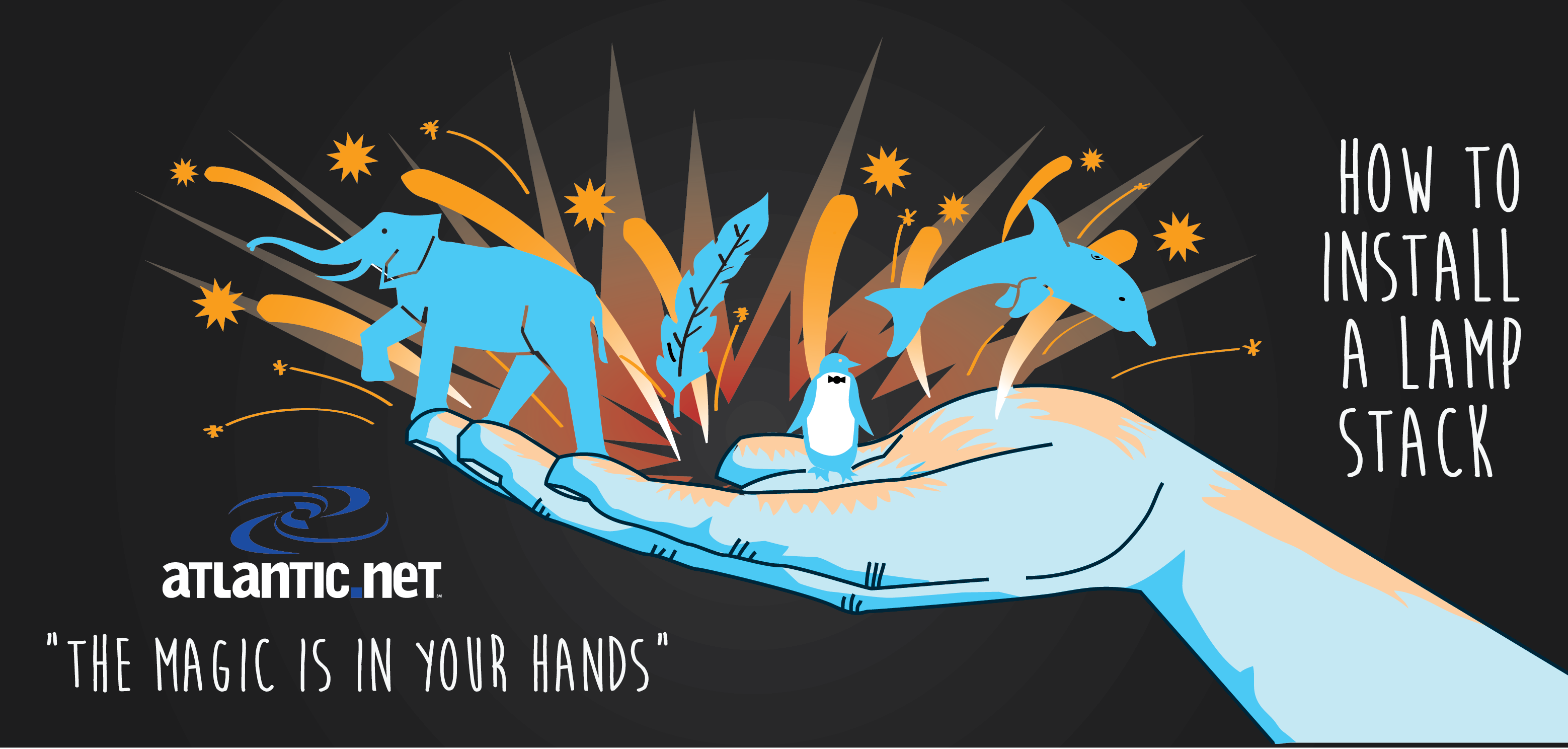 LAMP Magic In Your Hands created by Walker Cahall