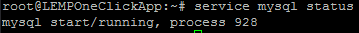 MySQL Status