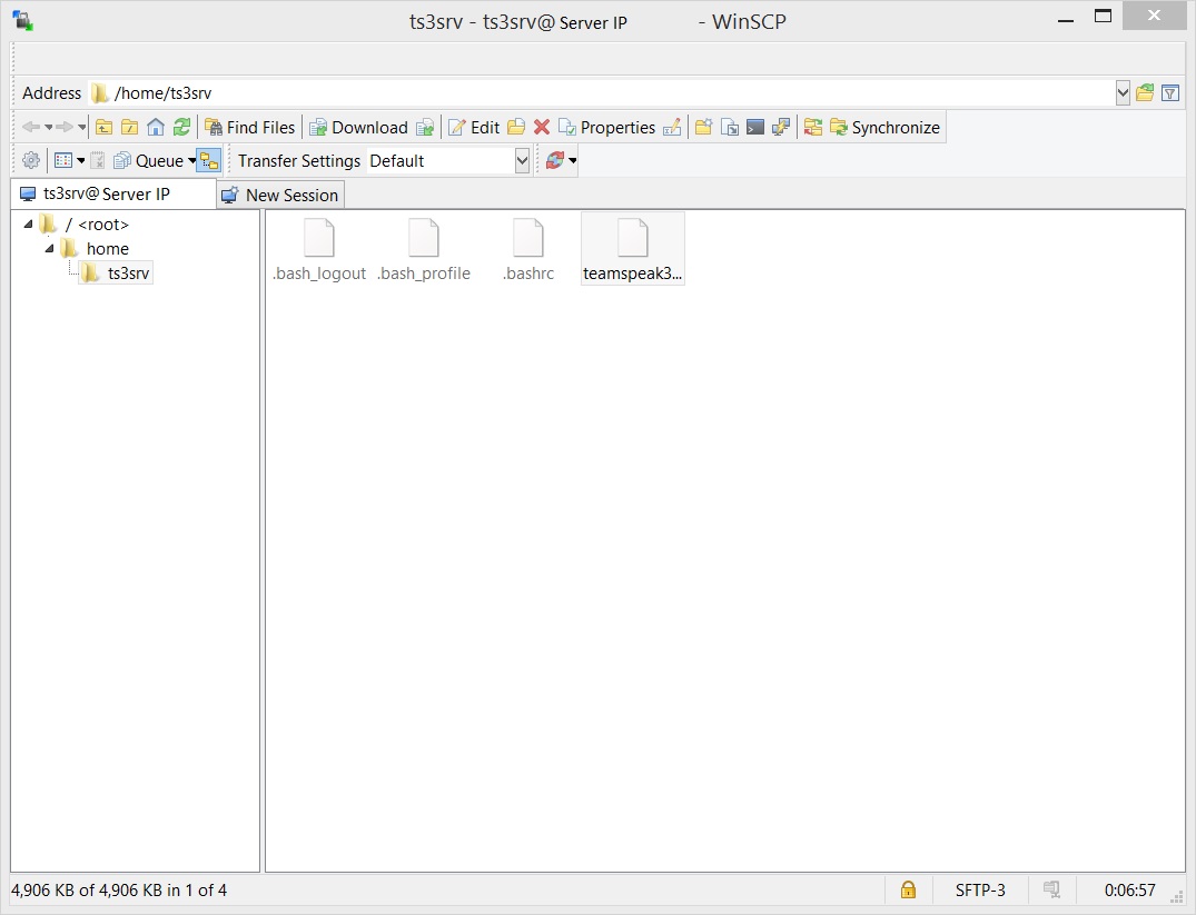 Upload TeamSpeak server package.