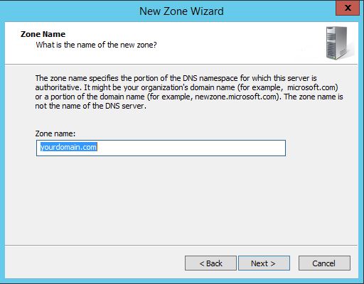 This is the zone name insert field when configuring DNS in Windows Server 2012