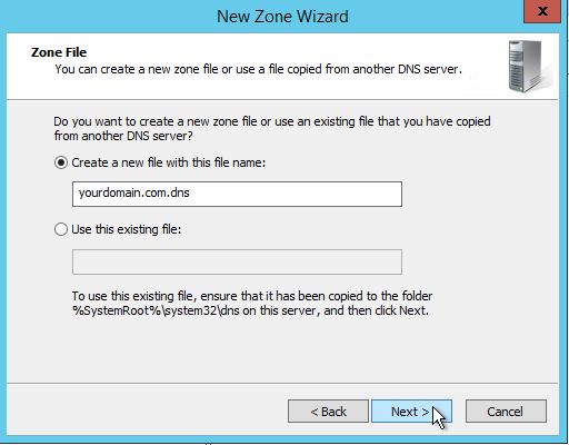 Creating a Zone file when configuring DNS in Windows Server 2012