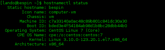 An example of the hostnamectl status command