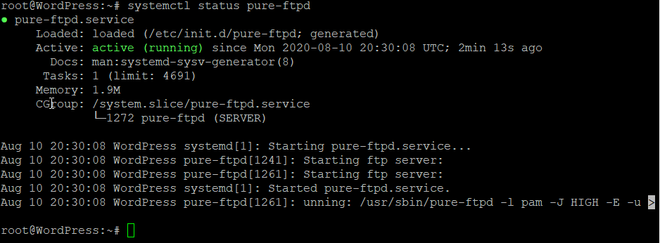 Sinis Kriminel Landmand How to Install Pure-FTPd on Ubuntu 20.04 | Atlantic.Net