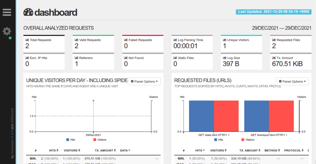 GoAccess real-time report