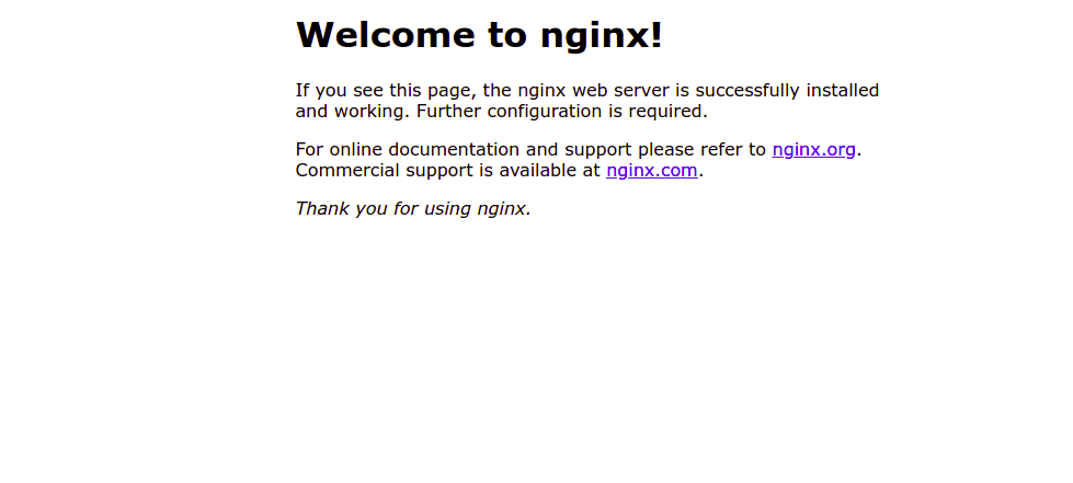 Nginx test page