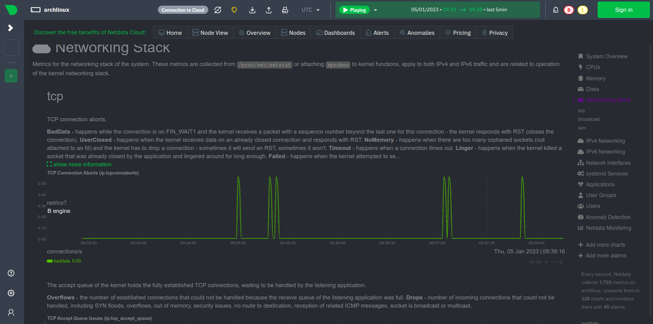 netdata network usage