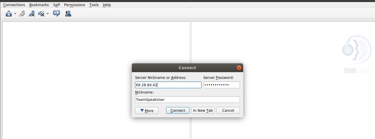 teamspeak connection