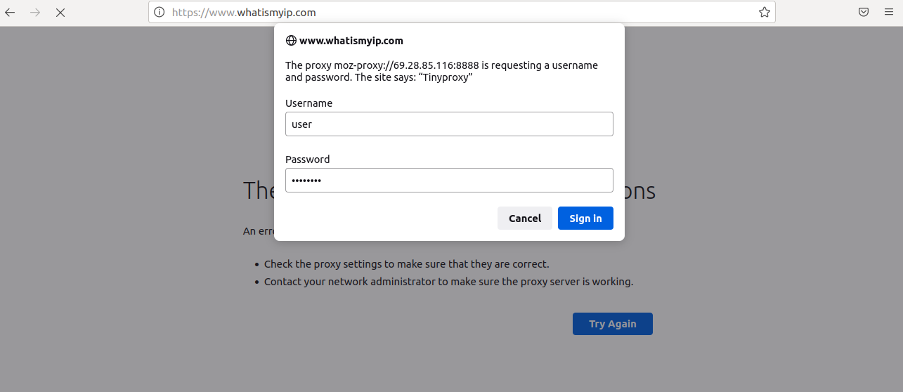 authenticate tiny proxy