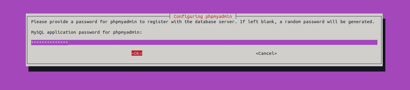 phpmyadmin password setup page