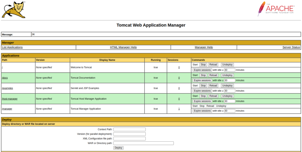 How to Install Tomcat 11 on Ubuntu 24.04 | Atlantic.Net