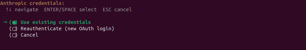 Choose Anthropic Credentials