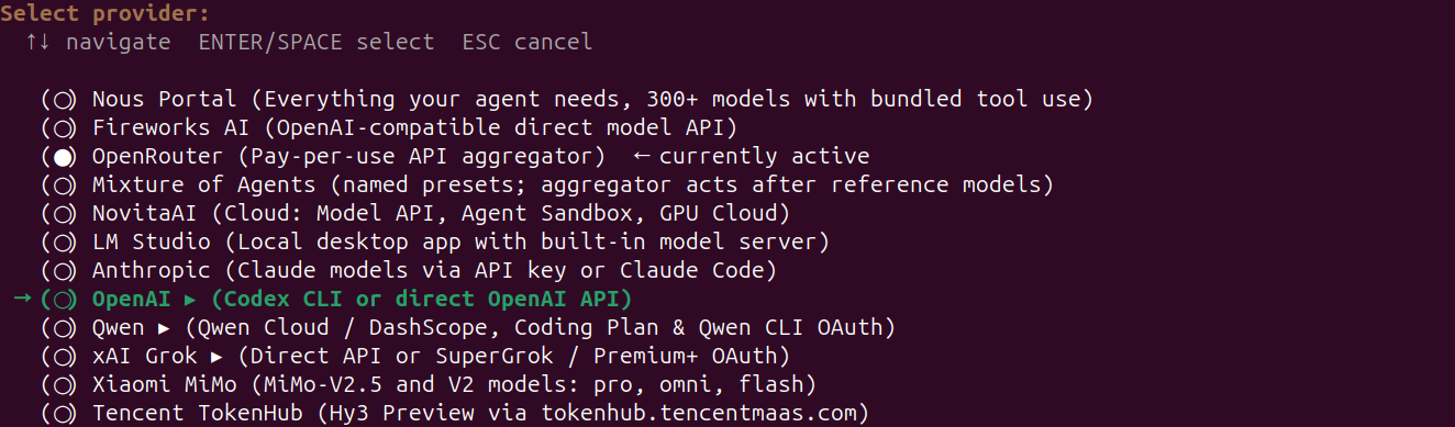 Select Provider